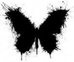 Butterfly15