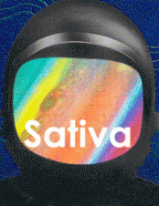 Sativa777
