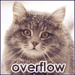 overflow1337